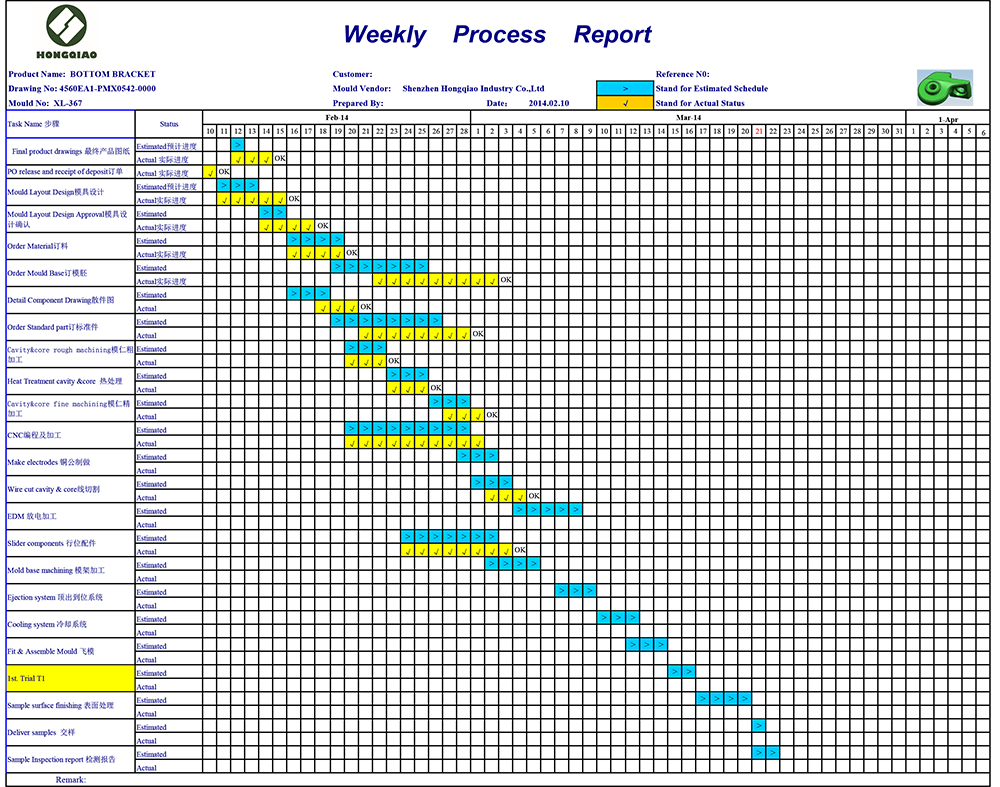 weekly process report